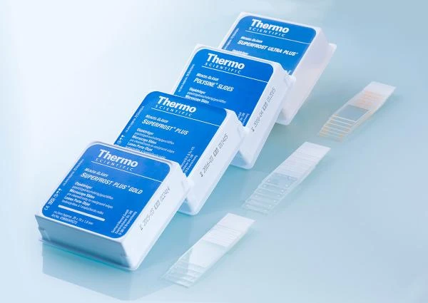 Predmetnoe steklo (75x25x2)