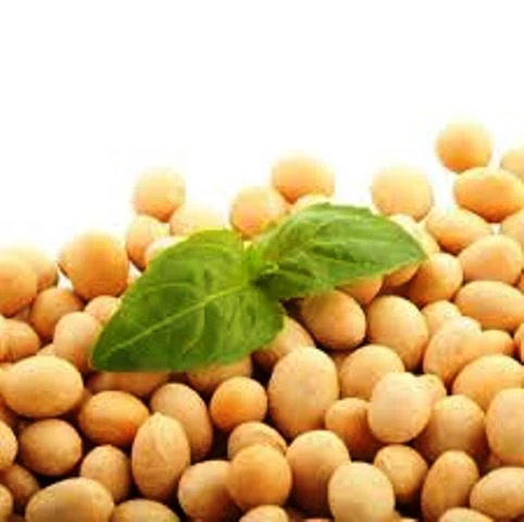 Фито-40 (изофлавоны сои в капсулах) Vivasan, Швейцария