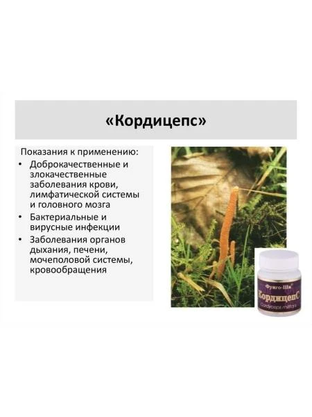 Препарат Король Кордицепс