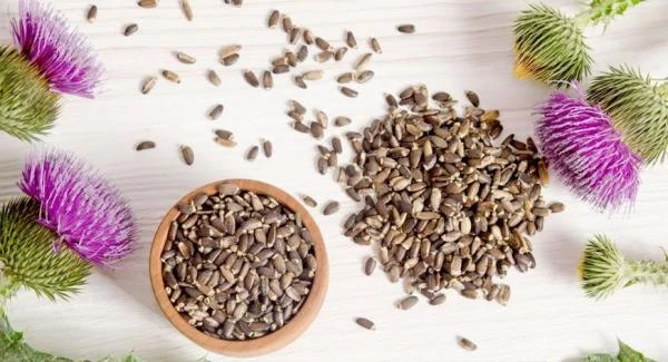 Расторопша в капсулах (семена)