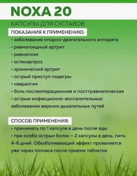 Noxa 20. Необходим тем, кто «пробовал всё», но проблемы с опорно-двигательным аппаратом остались.
