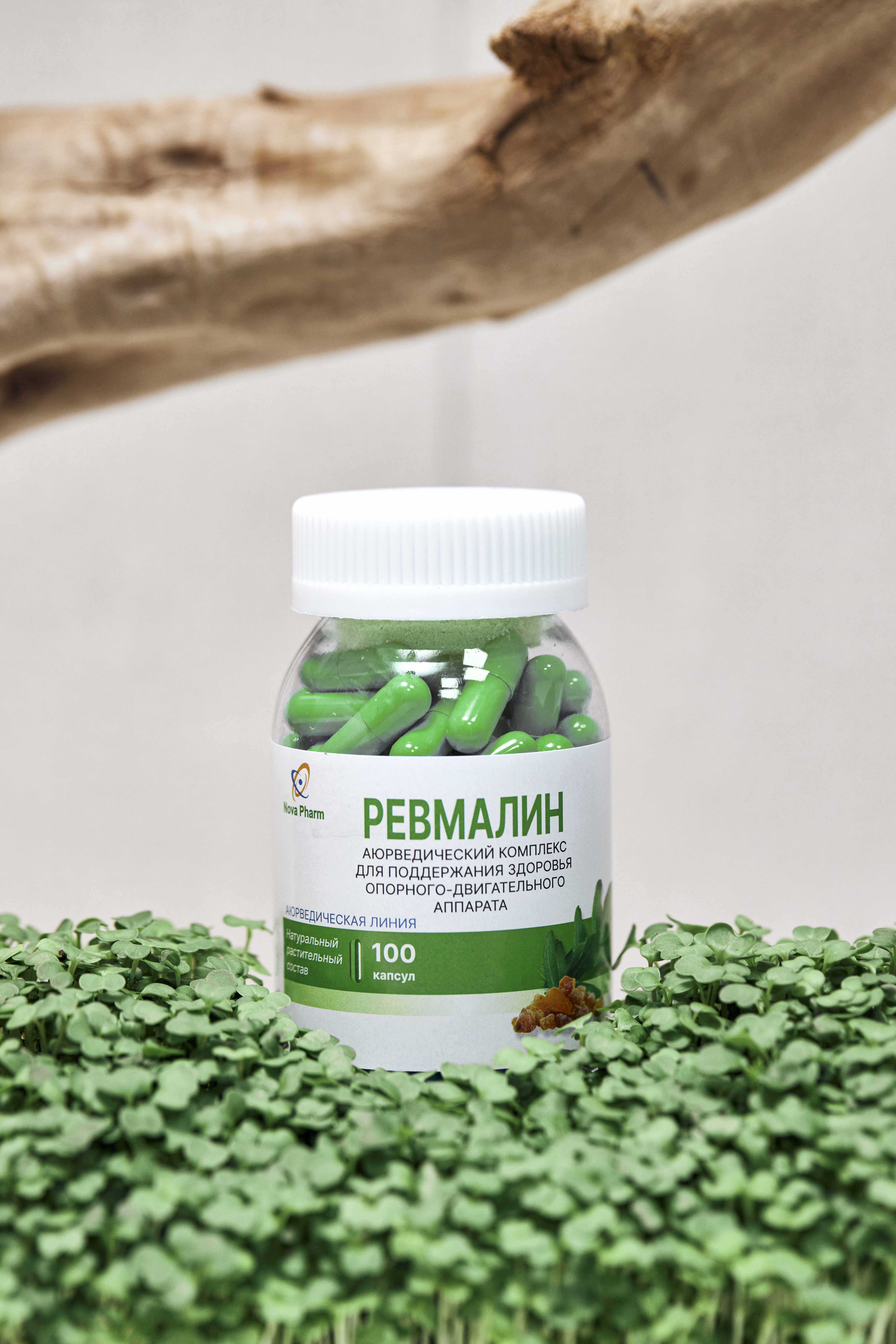 REVMALIN kapsulalar  N100