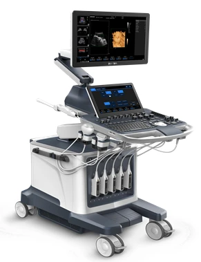 Diagnosticheskaya sistema ZONCARE-ViV80