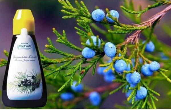 Сироп Можжевельник Vivasan, Вивасан, Швейцария