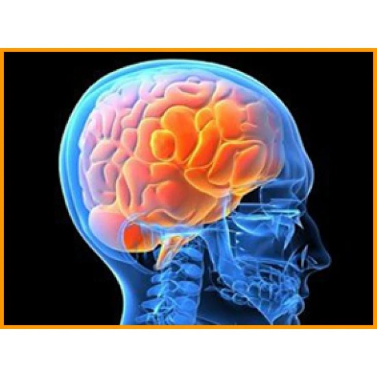 Ye81M-NM3 Apparat elektroxirurgicheskiy visokochastotniy EXVCH-80-03-"FOTEK". Nabor dlya neyroxirurgii minimalniy