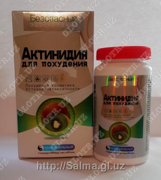 Капсулы Актинидия для похудения