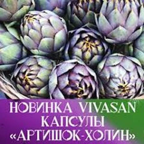 Капсулы Холин-Артишок-Расторопша Vivasan, Швейцария