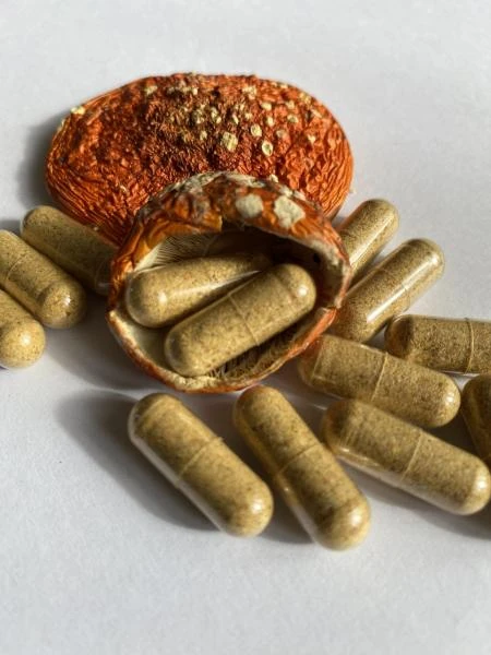 Красный Мухомор в veg капсулах