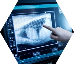 Оцифровщик для ветеринарии AGFA CR-10X