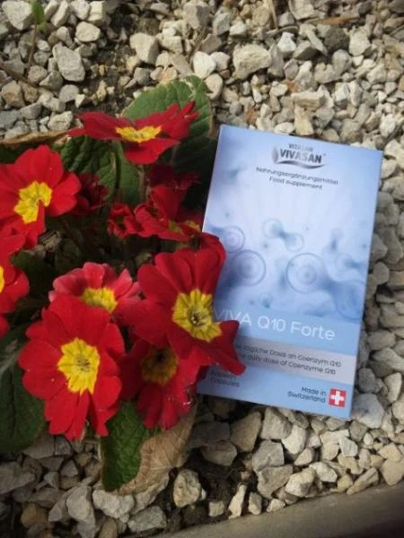 Viva Q10 Forte (koenzim Q10) Vivasan, Shveytsariya