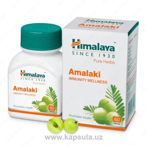 Badi Himalaya Amalaki