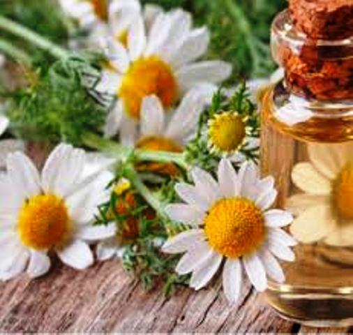 Krem dlya ustalix nog Vivasan, Shveysariya