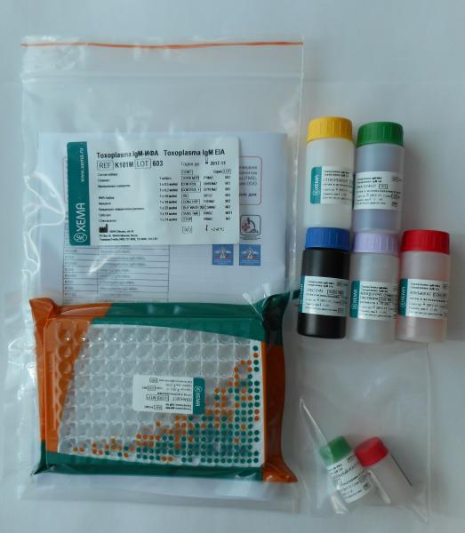 Toksoplazma IgM-IFA (XEMA/Rossiya)