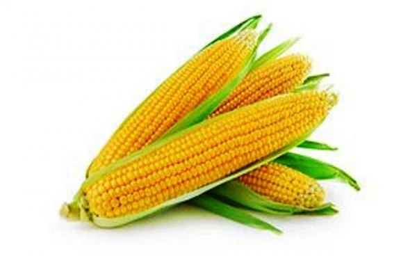 Gel dlya koji vokrug glaz Swiss Nahrin, Shveysariya