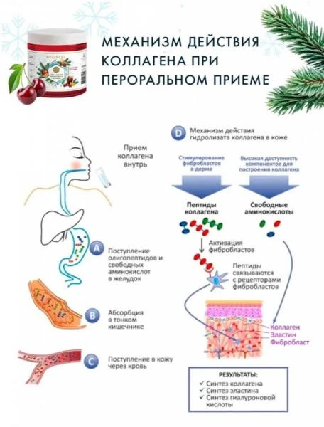 Коллаген желе для суставов, связок, кожи и волос Collagen Live Wellness