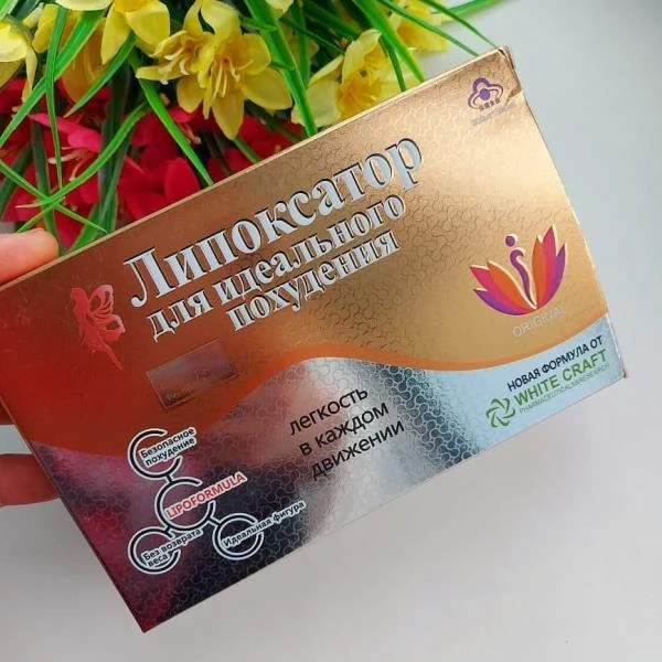 Липоксатор капсула для похудения