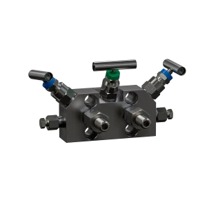 Блоки вентильные БВ для безопасного монтажа/демонтажа датчиков, преобразователей давления:1012117