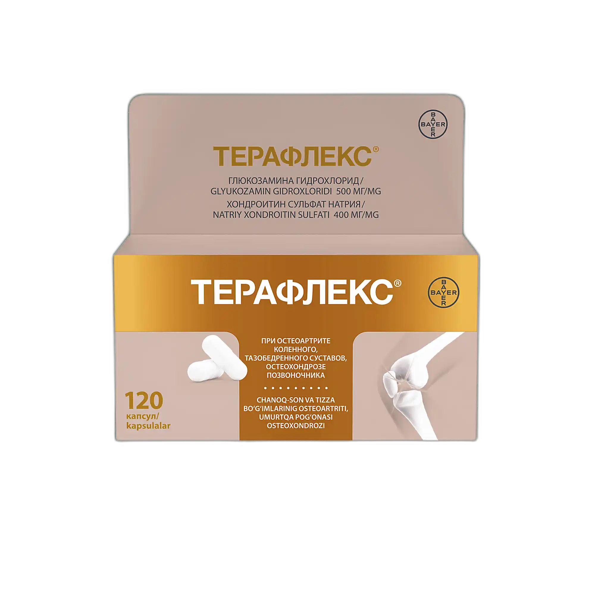 TERAFLEKS kapsulalar N120