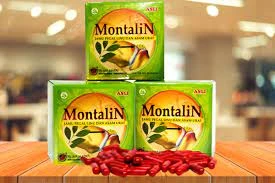 Средство от боли в спине и суставах Montalin