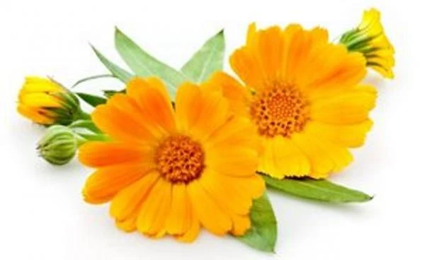 Zubnoy gel 7 Alpiyskix trav (travel size) Swiss Nahrin, Shveysariya