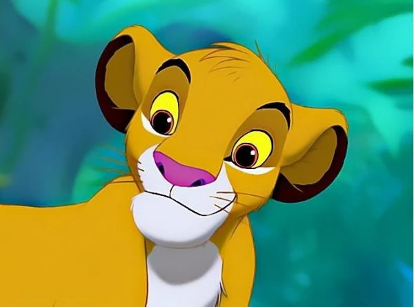 NORMAL ORTOPEDIC PRODUCTION