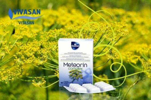 Метеорин для восстановления ЖКТ Vivasan, Швейцария