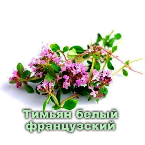 Аппарат Lim pomp для губ