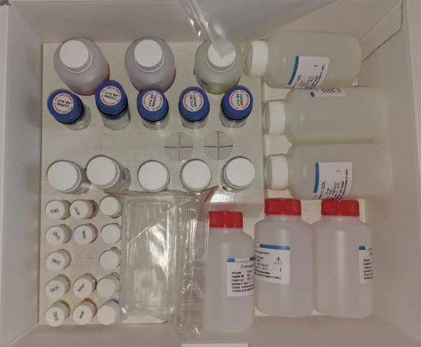 Ferment bilan bog'liq immunosorbent tahlili - «ВичИФА-HIV-Aг/Ат-СКРИН-О»