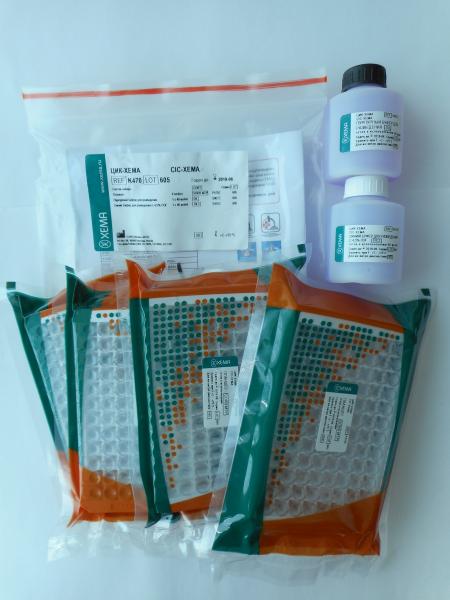 ТТГ-ИФА (ХЕМА/Россия)