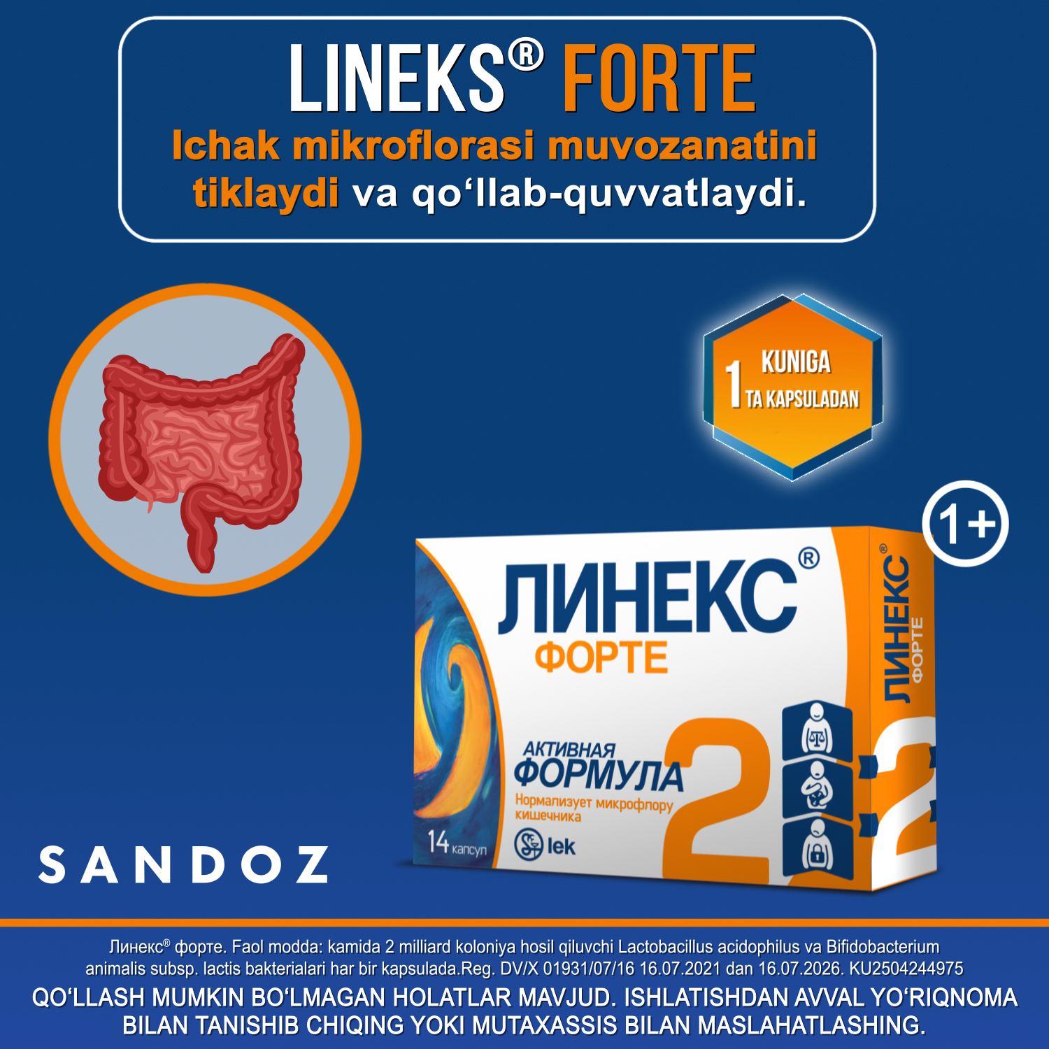 LINEKS FORTE kapsulalar  N14