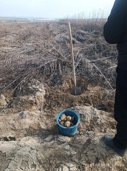 Центрифуга лабораторная медицинская ОПН-12 "Плазма"