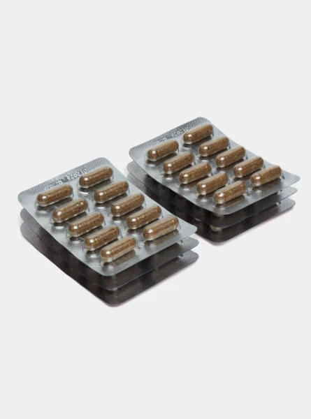 Antiparazitik kapsulalar "Antigelmint" - tananing tabiiy himoyasi