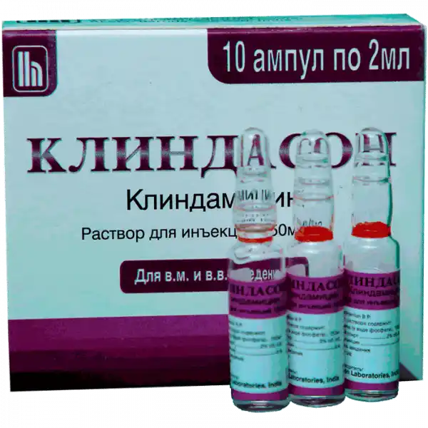 KLINDASON inyeksiya uchun eritma 2ml 150mg/ml N10