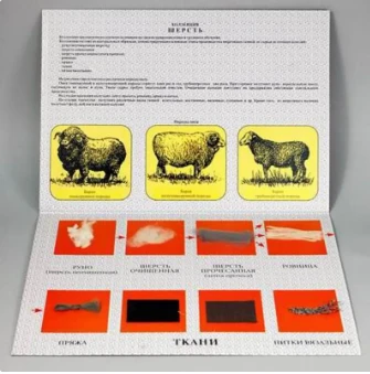 Kolleksiya - sherst dlya nachalnoy shkoli