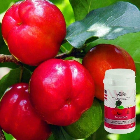 Aserola (tropicheskaya vishnya s vitaminom S) Vivasan, Shveysariya