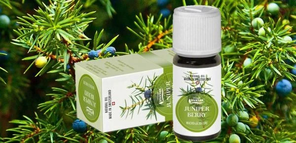 Efirnoe maslo Mojjevelnika Vivasan, Shveysariya