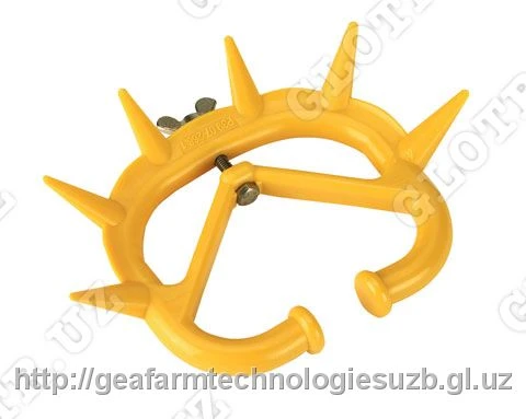 Kolso protiv samovidaivaniya dlya telyat