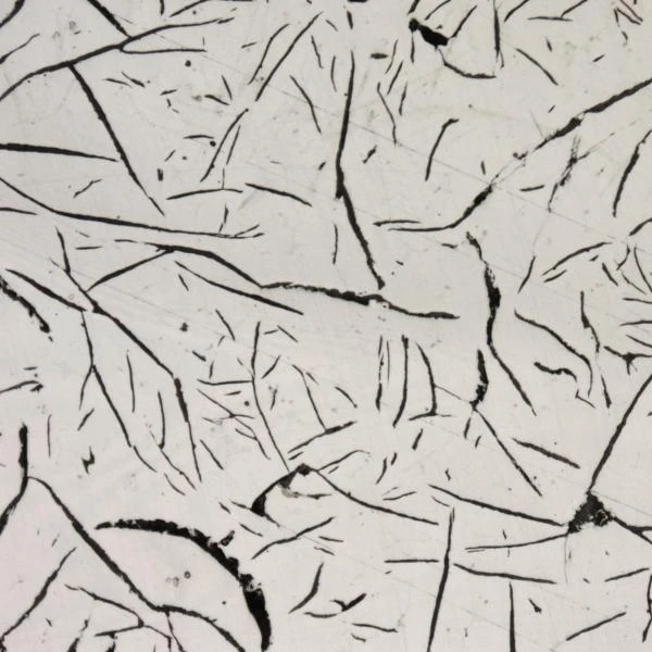 Микроскоп для материаловедения ADF I350