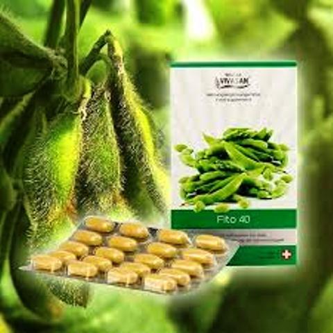 Фито-40 (изофлавоны сои в капсулах) Vivasan, Швейцария