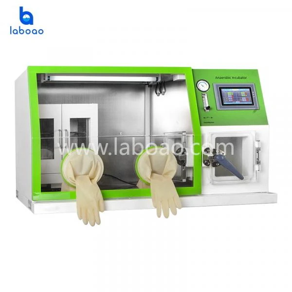 Nastolniy anaerobniy inkubator s sensornim ekranom