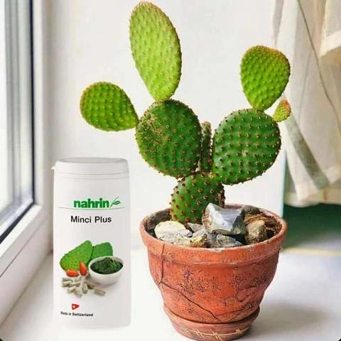 Капсулы Минки Плюс для снижения веса Swiss Nahrin, Швейцария