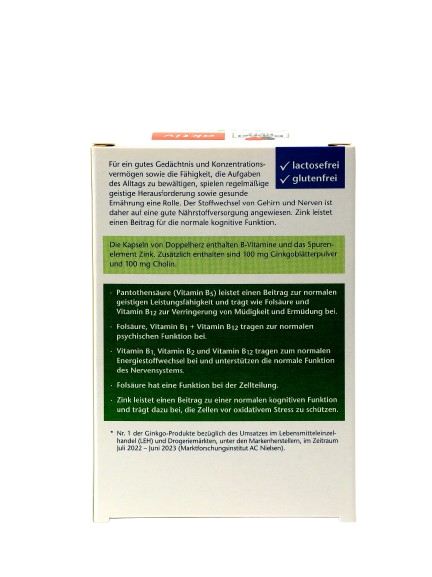 DOPPELGERS AKTIV GINKO+VITAMINI GRUPPI V+XOLIN tabletkalari N40