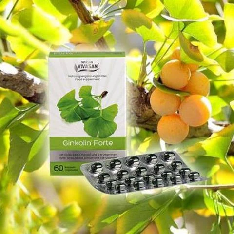 Ginkolin Forte Vivasan, Shveytsariya