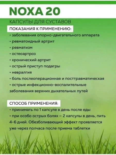 NOXA 20 bo'g'im va suyak og'riqlariga qarshi (Noha, Noksa), 20 kapsula