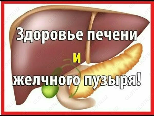 Сироп Lver Zime для очистки крови и печени