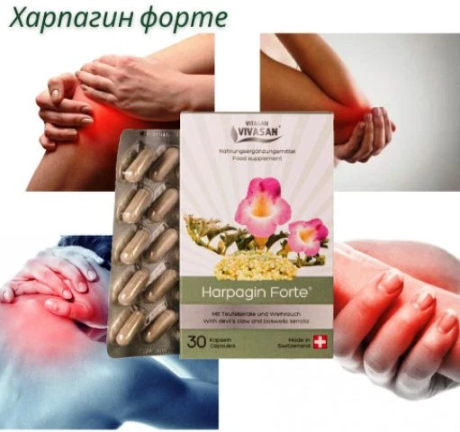 Харпагин Форте для суставов Vivasan, Швейцария