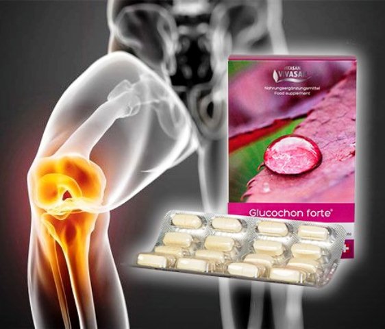 Glyukoxon Forte dlya vosstanovleniya sustavov Vivasan Shveysariya