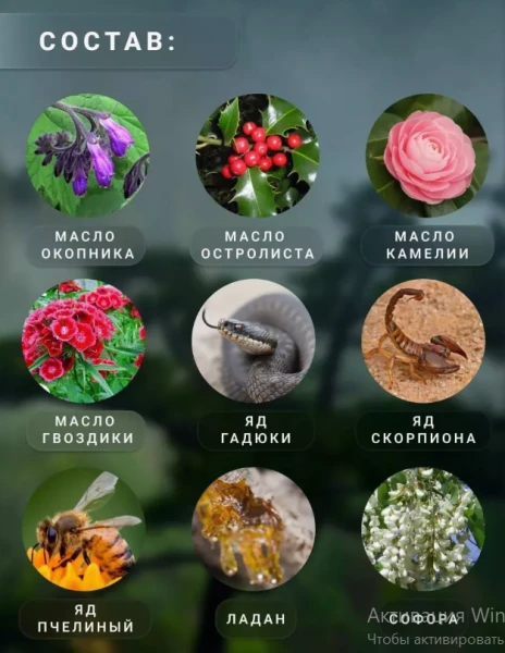 Мазь обезболивающая от ревматизма артрита, болей в суставах (Яд Скорпиона)