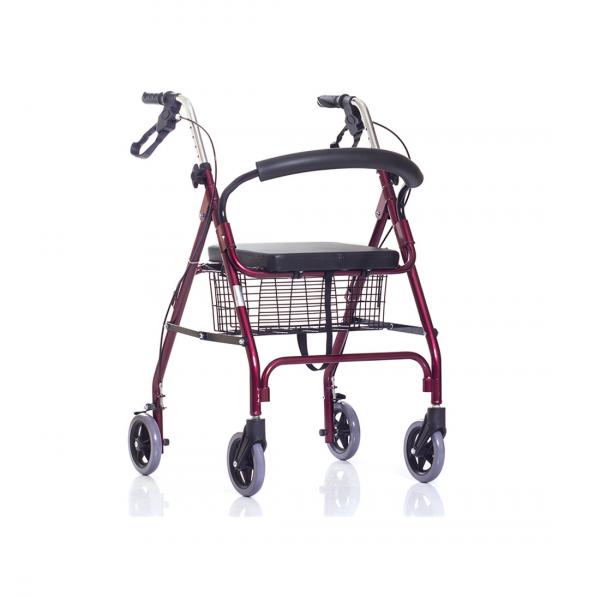 Универсальные ходунки-роллаторы DOLOMITE FUTURA