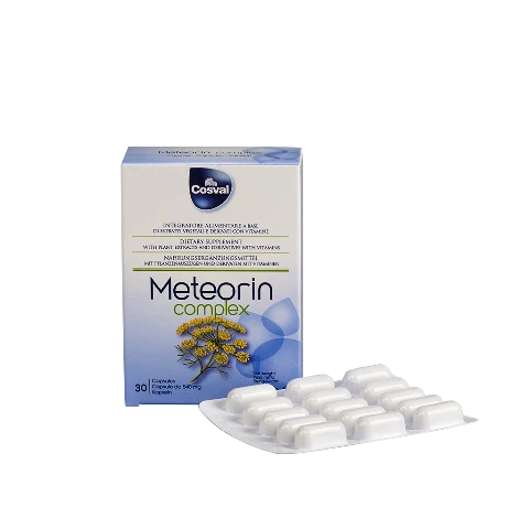 Метеорин для восстановления ЖКТ Vivasan, Швейцария